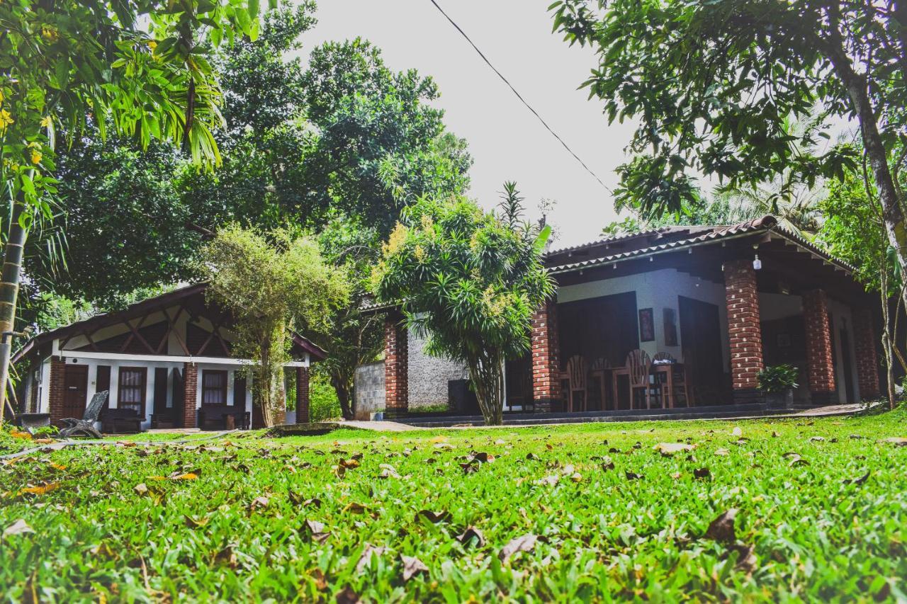 Green Cottage Anuradhápura Exteriér fotografie