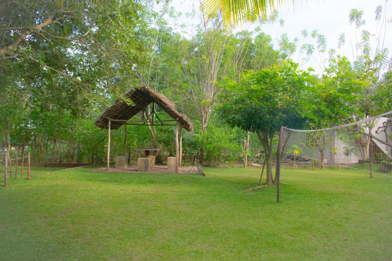 Green Cottage Anuradhápura Exteriér fotografie