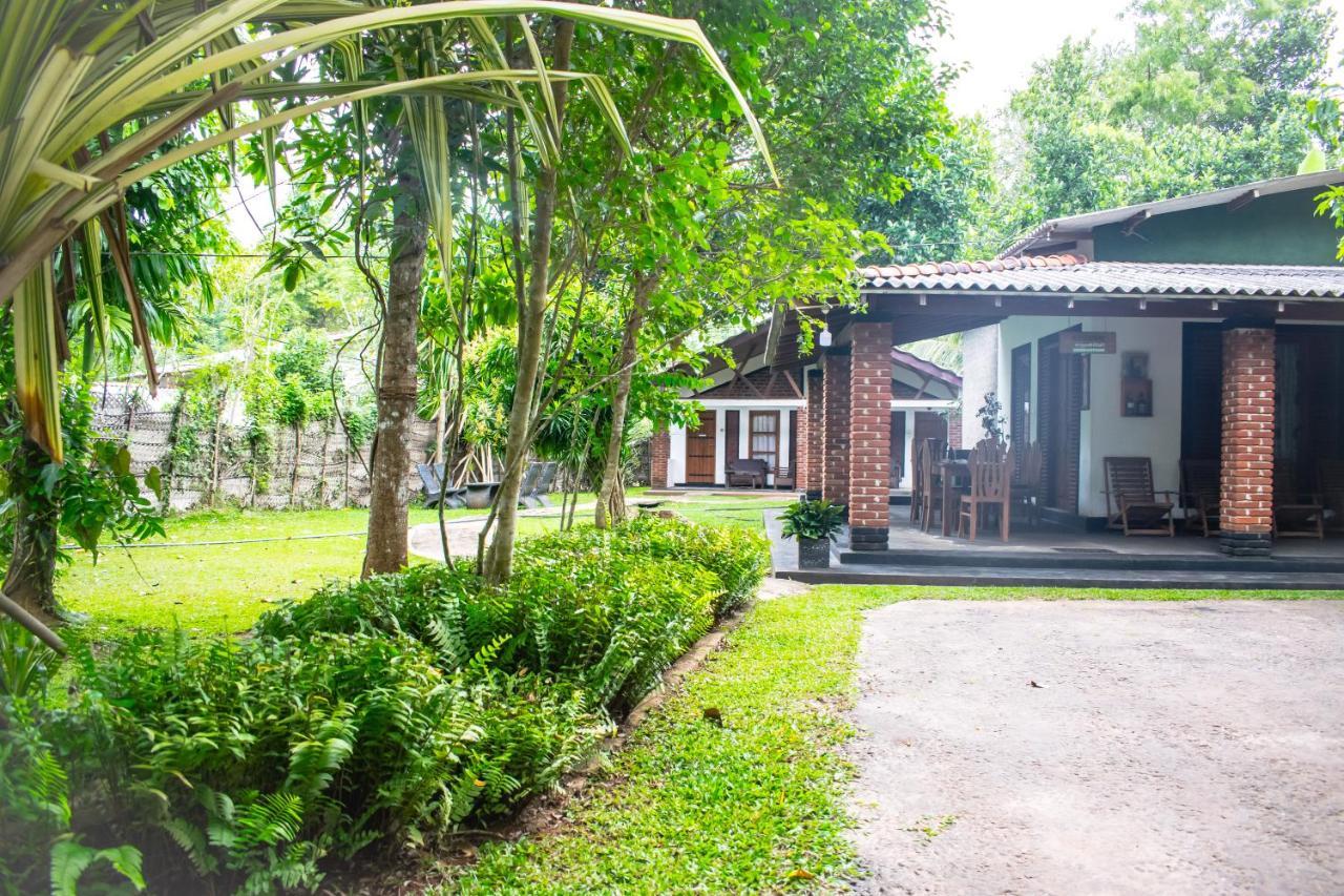 Green Cottage Anuradhápura Exteriér fotografie