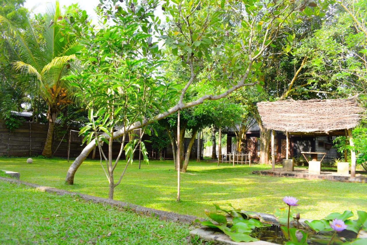 Green Cottage Anuradhápura Exteriér fotografie