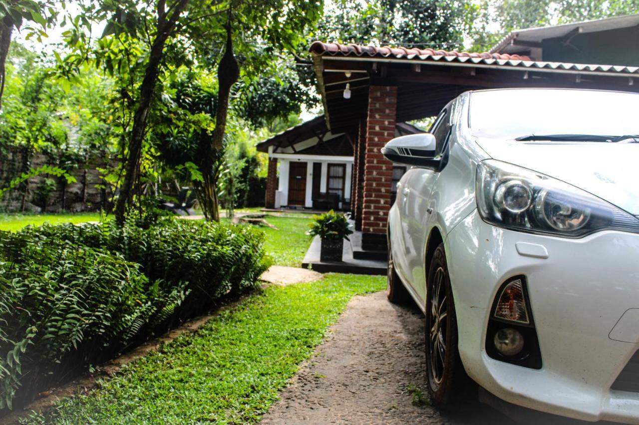 Green Cottage Anuradhápura Exteriér fotografie